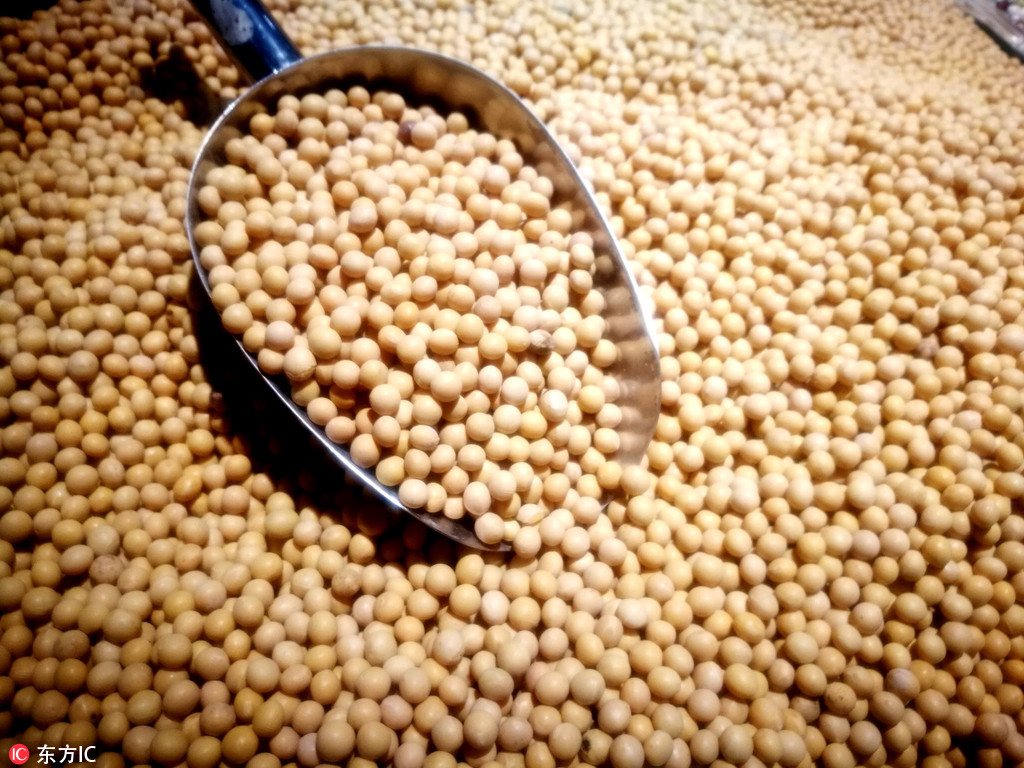 US soybean farmers store crops