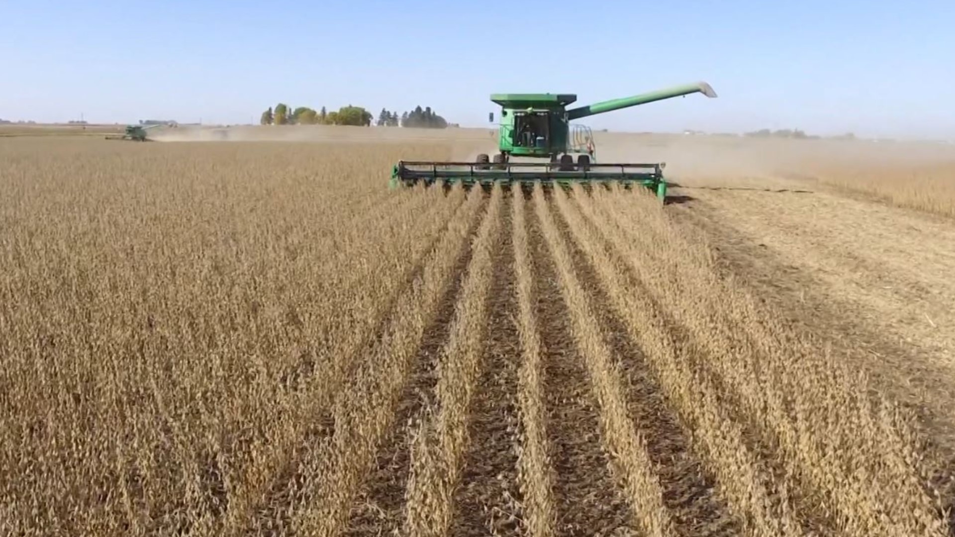 Iowa crop report: Corn and soybean harvest up, quality of crops down