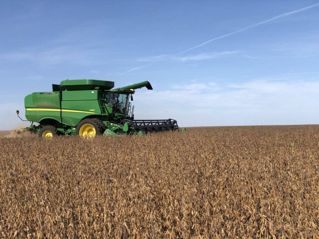 Soybean Harvest 2019 Farms, Inc