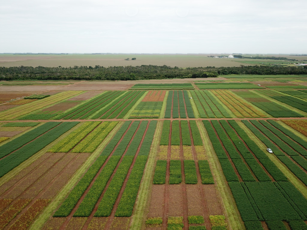 Soybean in Brazil: small changes make big differences