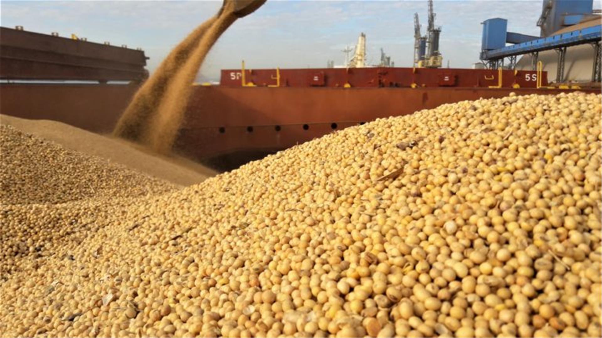 Practical Guidance for Loading Soya Beans in Brazil. UK P&I Club