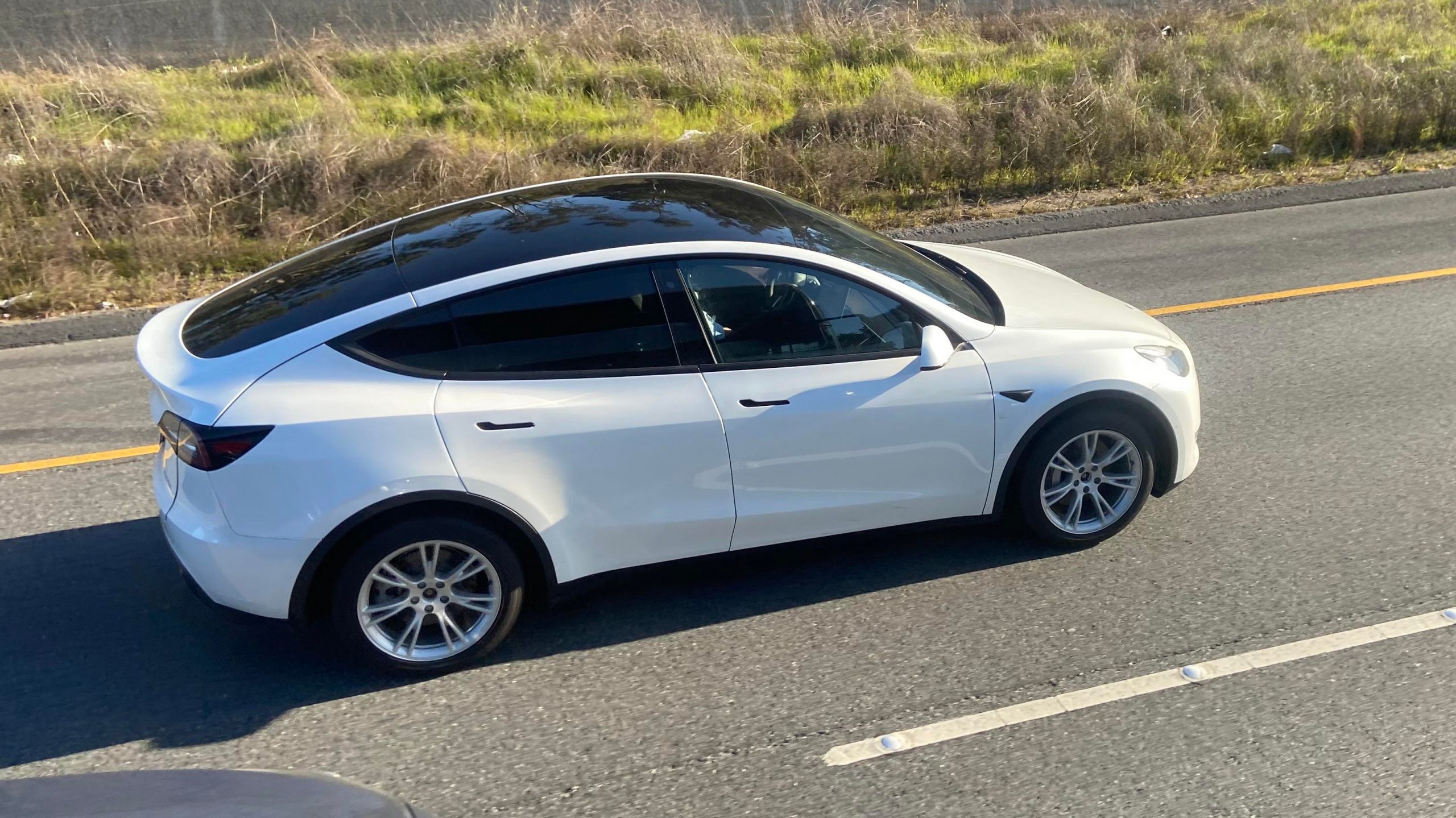 jenat Discriminare nişă tesla model y photo