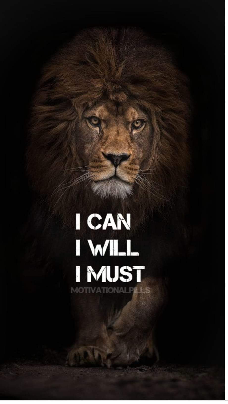 Motivation Lion Wallpaper Free Motivation Lion Background