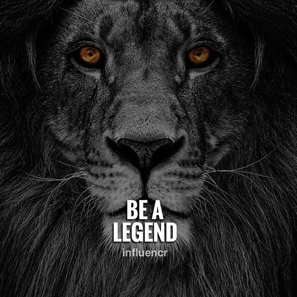 LION QUOTES ideas. lion quotes, warrior quotes, inspirational quotes motivation