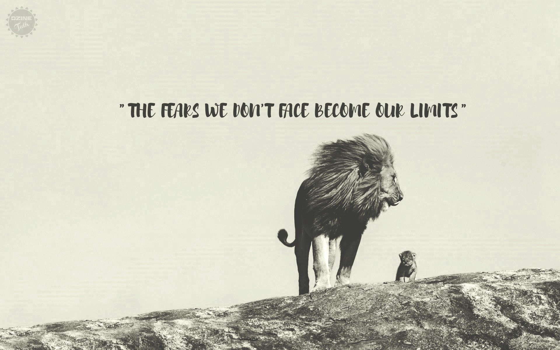 Lion Motivation Wallpapers Wallpaper Cave