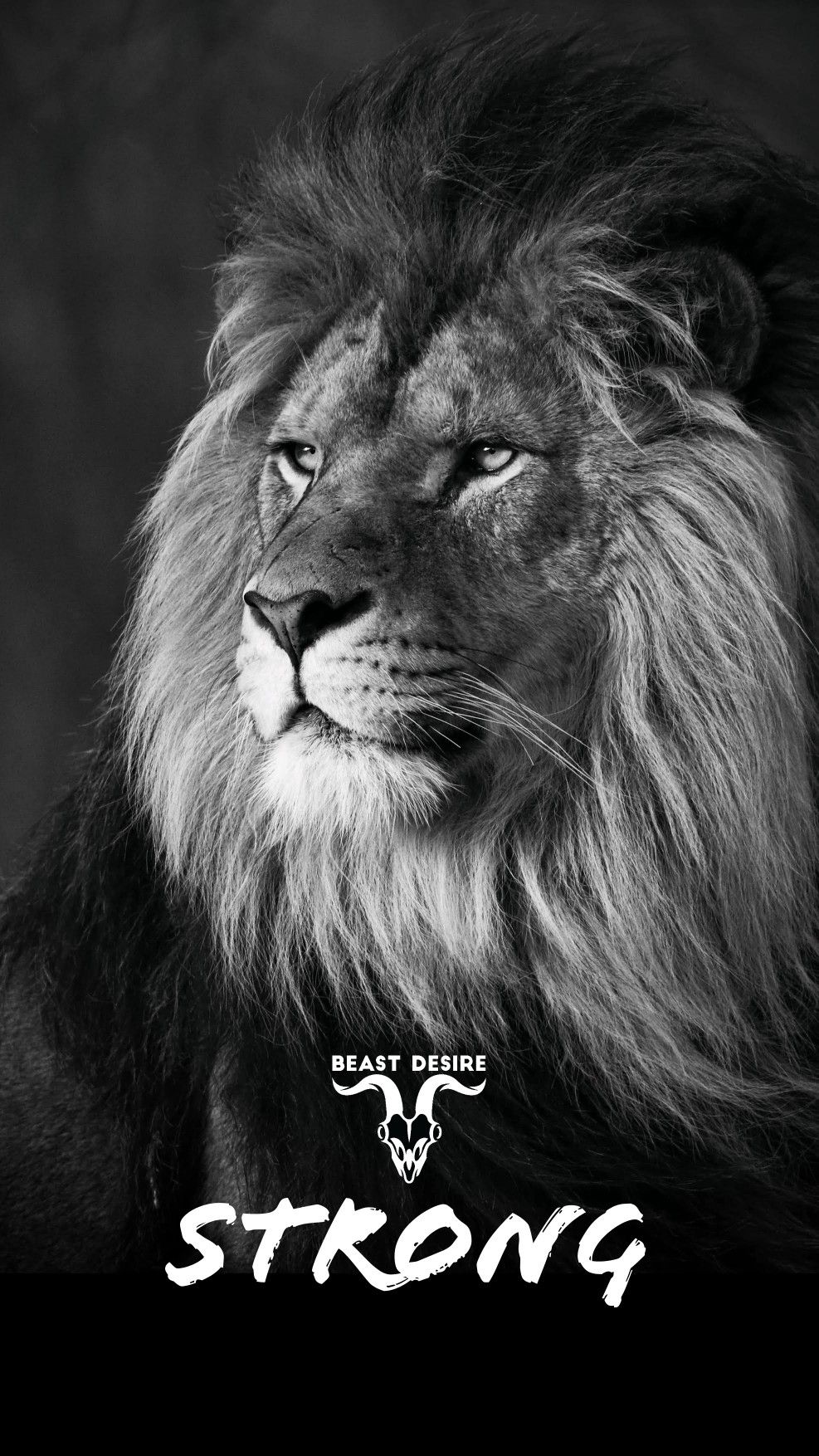 Lion Attitude Wallpaper