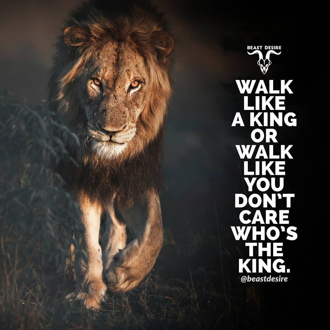 Abstract Lion Quote Wallpaper