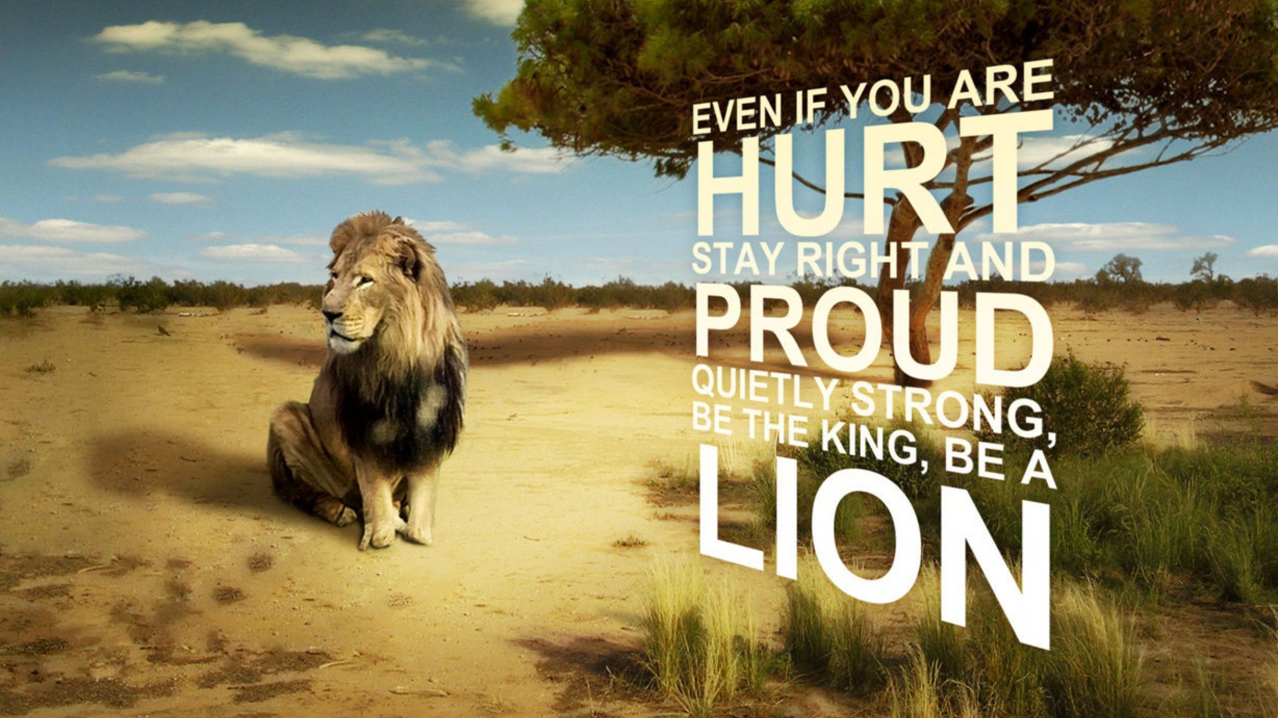 Hd Wallpaper Lion 1080p With Quote