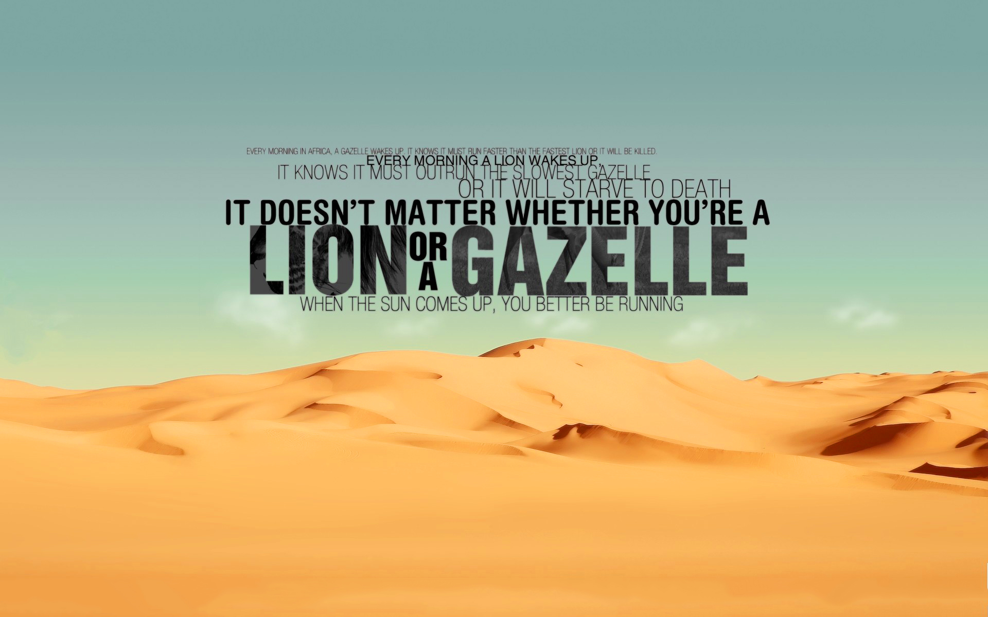 Are you lion or gazelle
