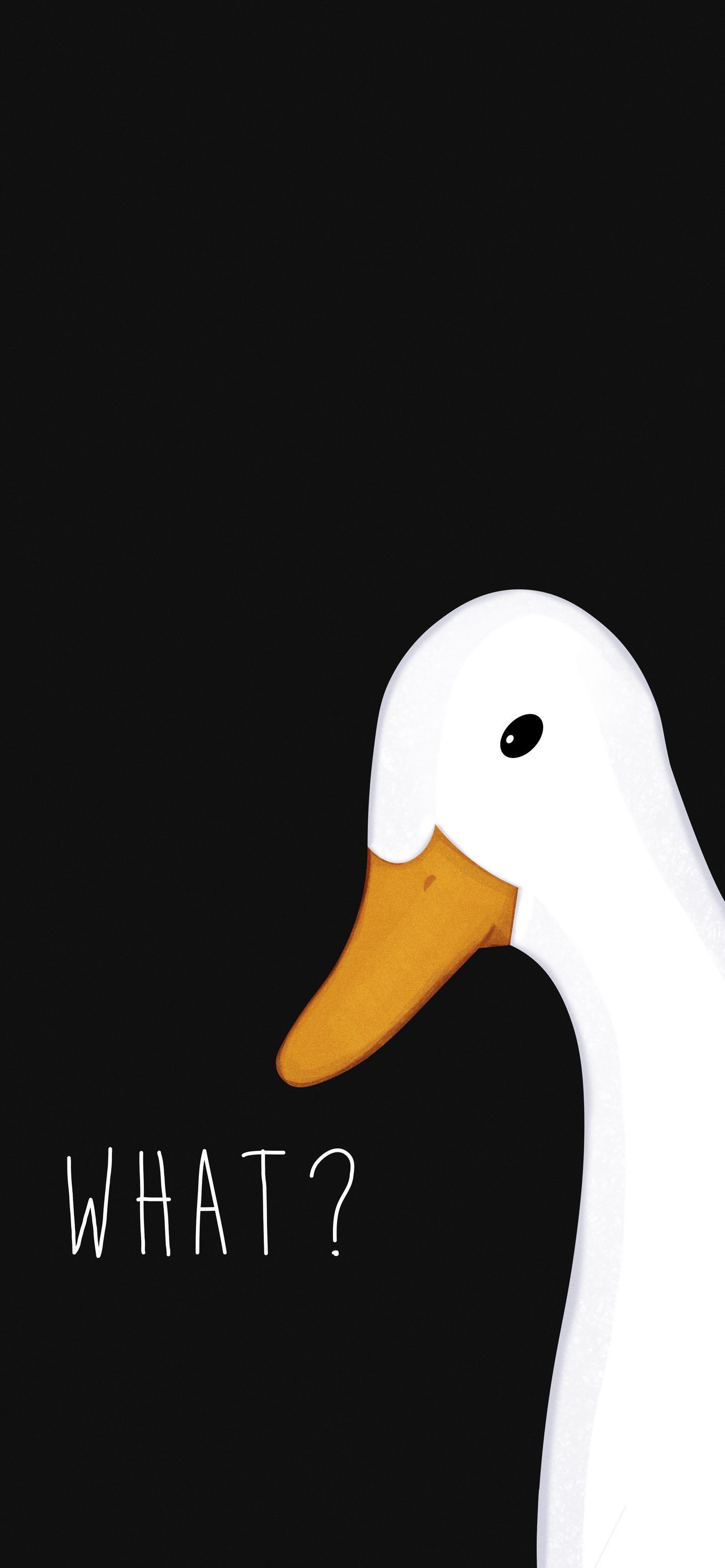 Hey goose!. Cute cartoon wallpaper, Duck wallpaper, Black wallpaper iphone