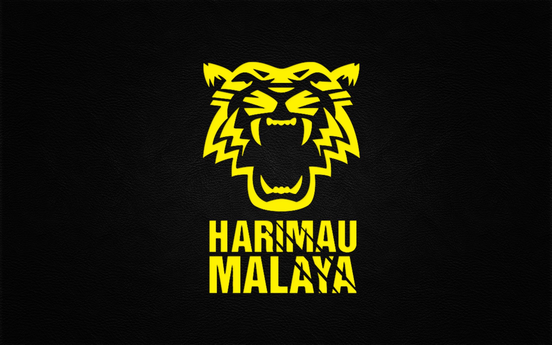 Malaysia national football team HD Wallpaper and Background Image