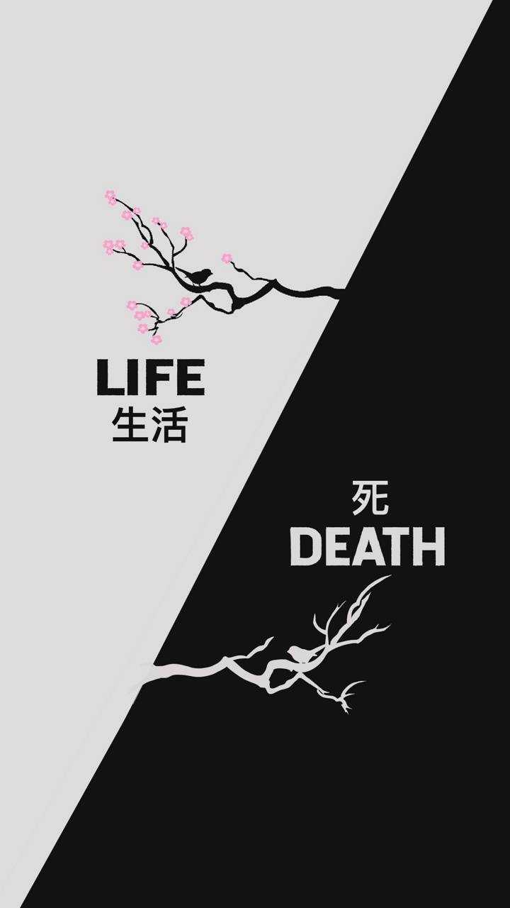 iPhone Life and Death Wallpaper Free HD Wallpaper