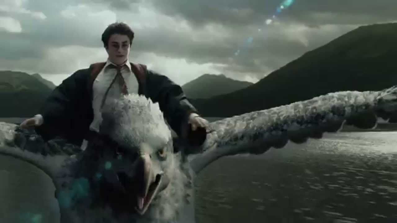 Free download While Harry Potter is not a perfect representation of the mythical [1280x720] for your Desktop, Mobile & Tablet. Explore Buckbeak Wallpaper. Buckbeak Wallpaper