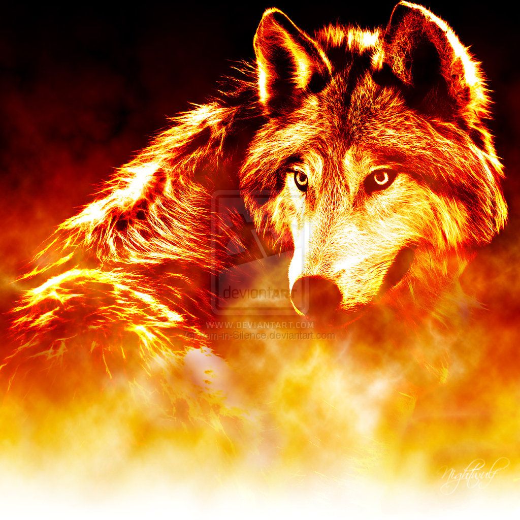 Cool Fire Wolf Wallpaper