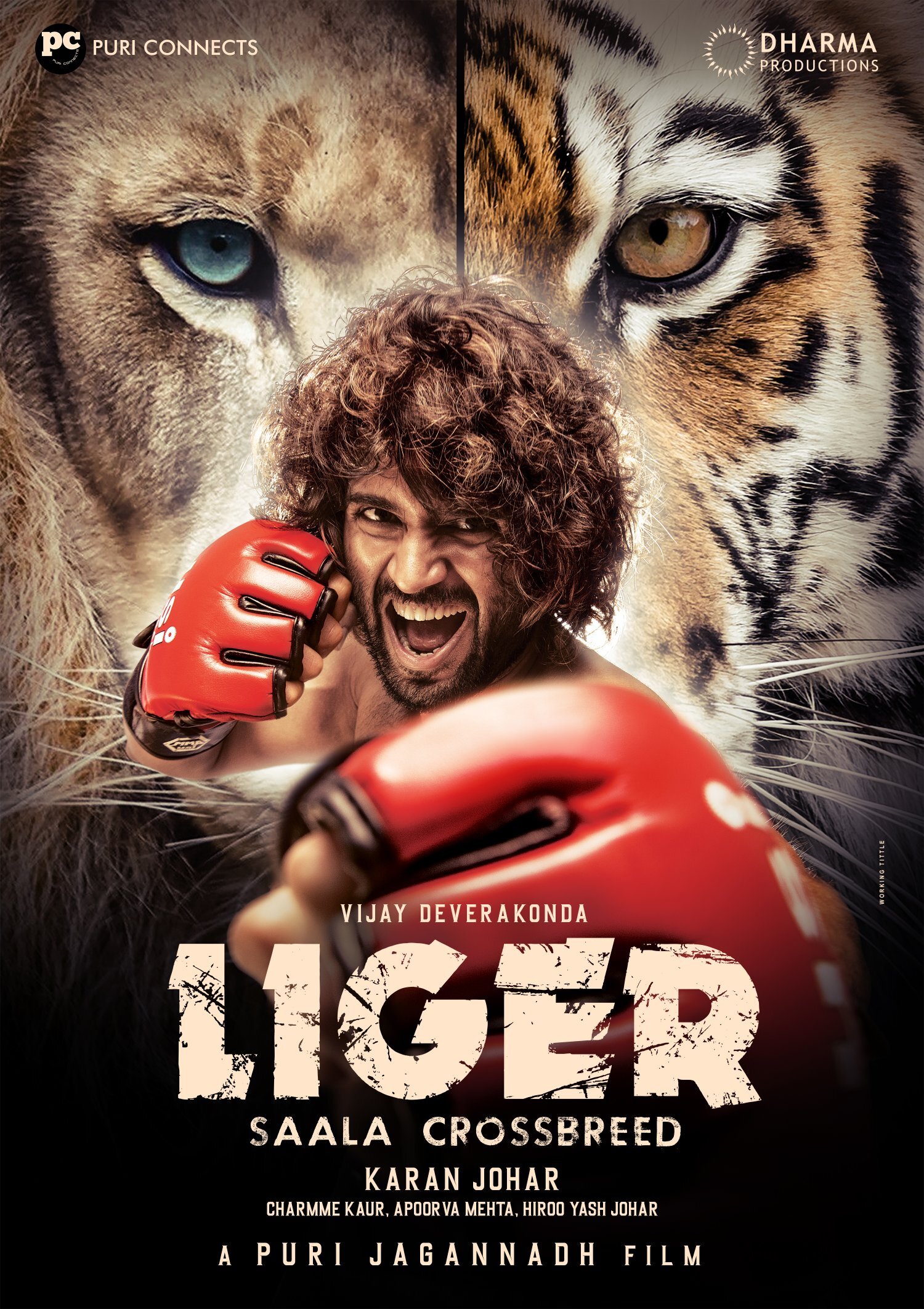 Liger Photo: HD Image, Picture, Stills, First Look Posters of Liger Movie