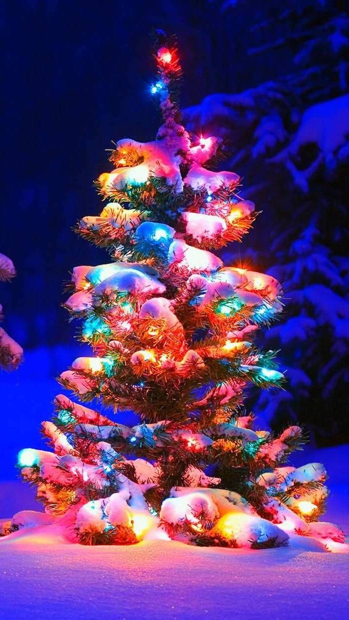 for winter wallpaper and background for your screen. Christmas lights wallpaper, Wallpaper iphone christmas, Christmas tree wallpaper