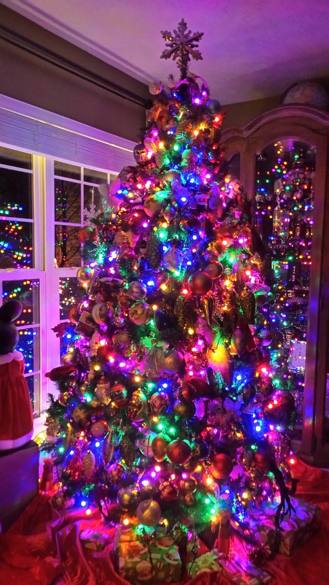 Wallpaper Christmas Tree ; Wallpaper Christmas. Colorful christmas tree, Christmas tree themes, Christmas lights