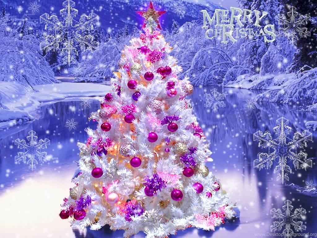 Beautiful Colorful Christmas Tree Merry Christmas Wishes Wallpaper. Desktop Background