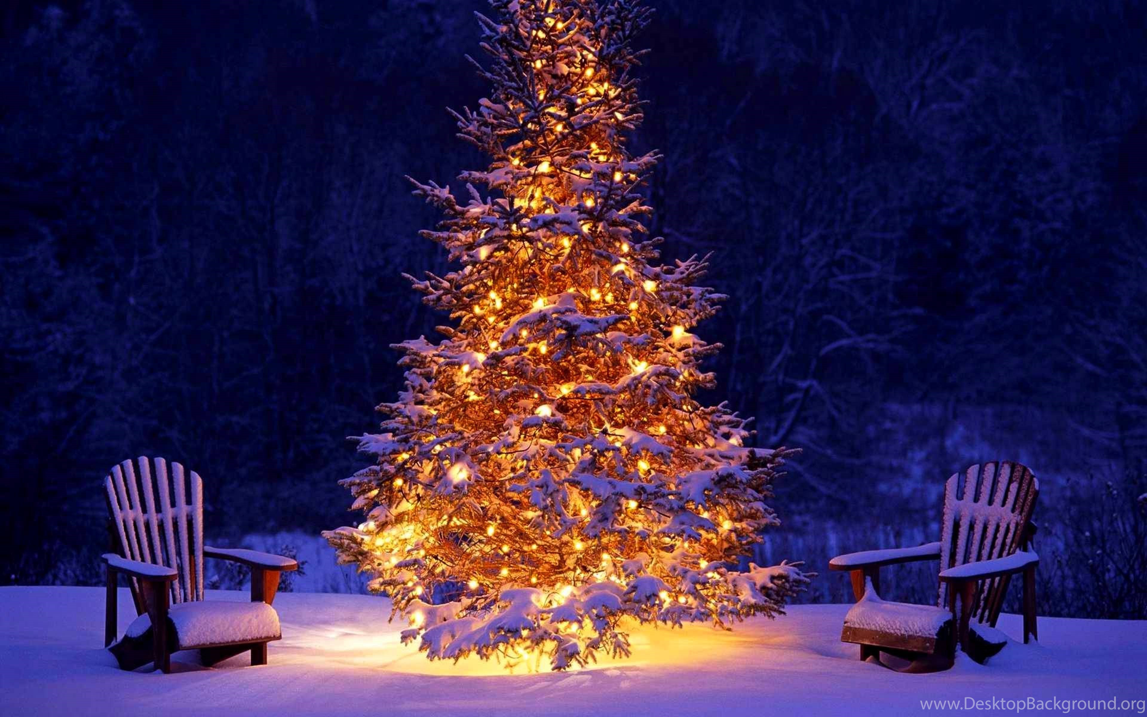 Winter Holiday Now Forest Christmas, Holidays Wallpaper Desktop Background