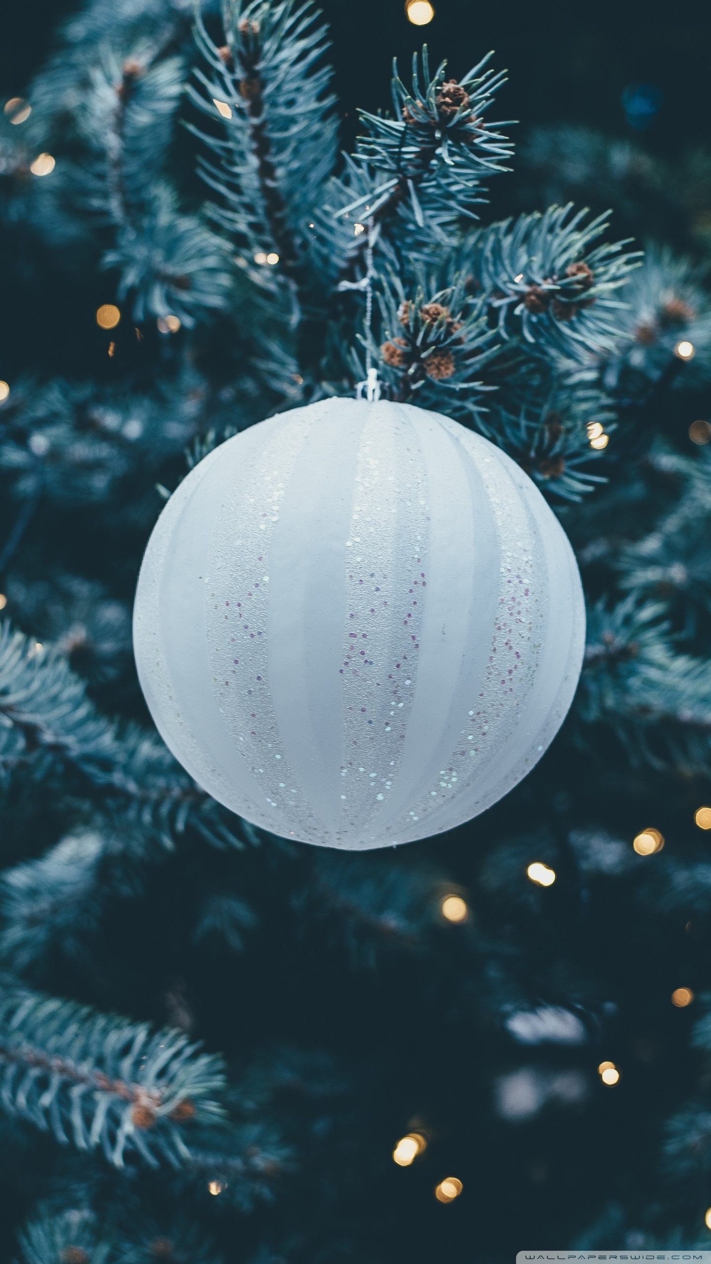 Christmas Tree Close Up Bokeh Ultra HD Desktop Background Wallpaper For 4K UHD TV, Widescreen & UltraWide Desktop & Laptop, Tablet