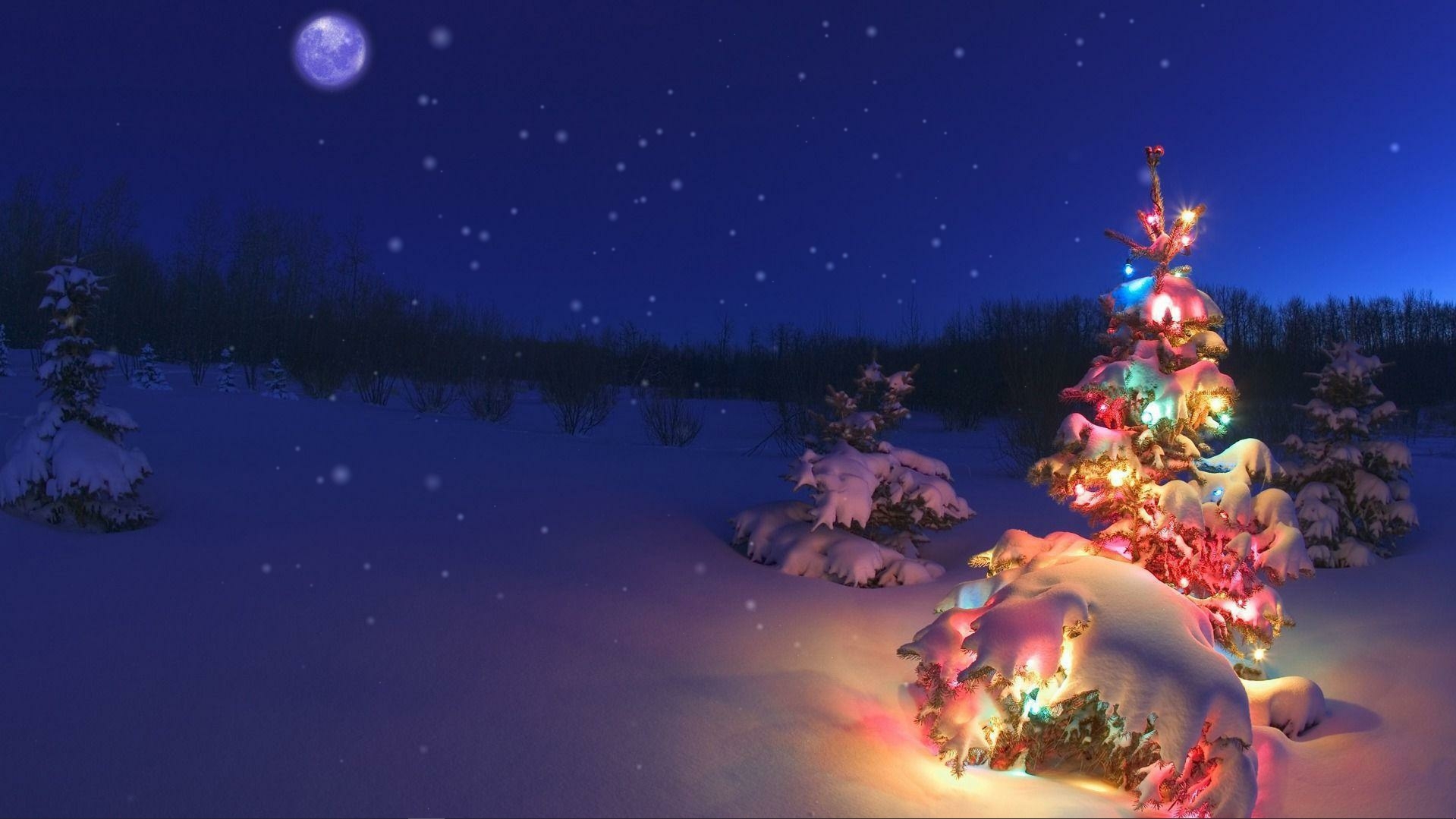 Christmas tree in the winter forest live wallpaper [DOWNLOAD FREE]