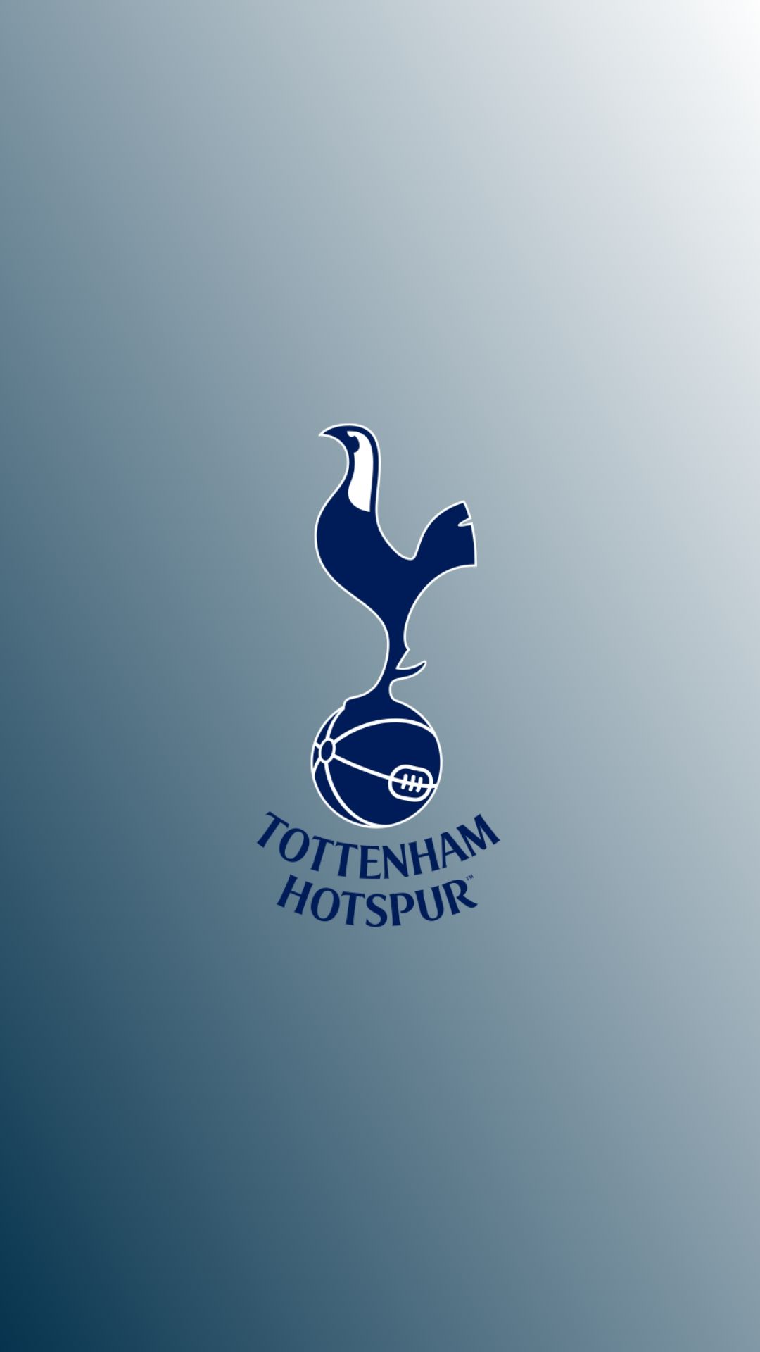 Tottenham Hotspur. Tottenham hotspur wallpaper, Tottenham wallpaper, Tottenham hotspur