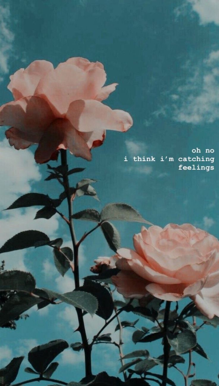 Oh No I Think I M Catching Feelings