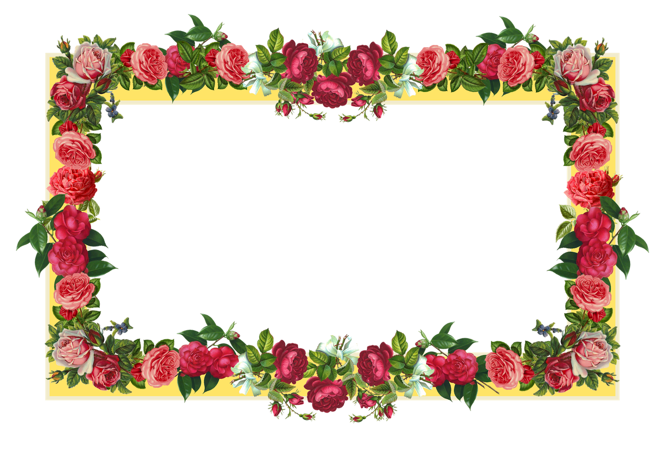 Free Rose Flower Borders, Download Free Rose Flower Borders png image, Free ClipArts on Clipart Library