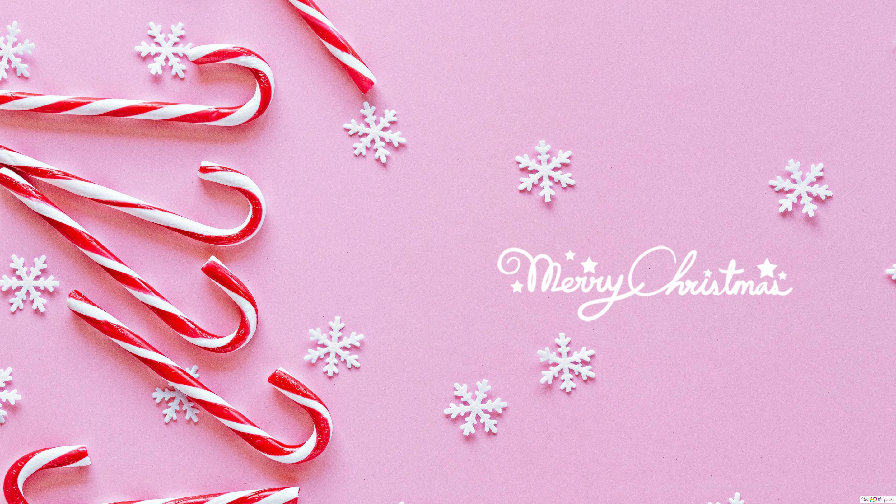 Merry Christmas greetings in pink background with candy cane and snowflakes HD wallpaper download