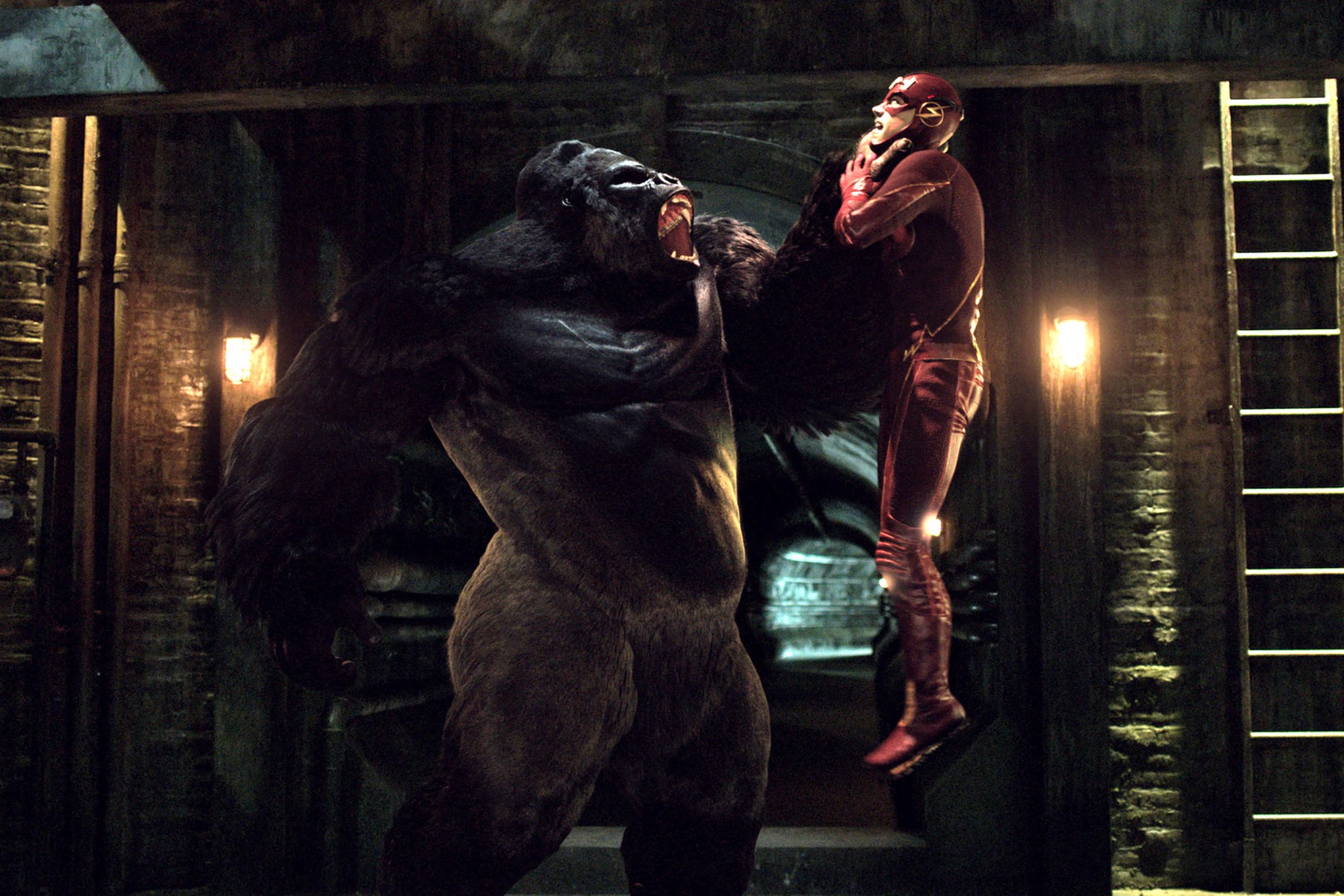 Gorilla Grodd Wallpapers - Wallpaper Cave