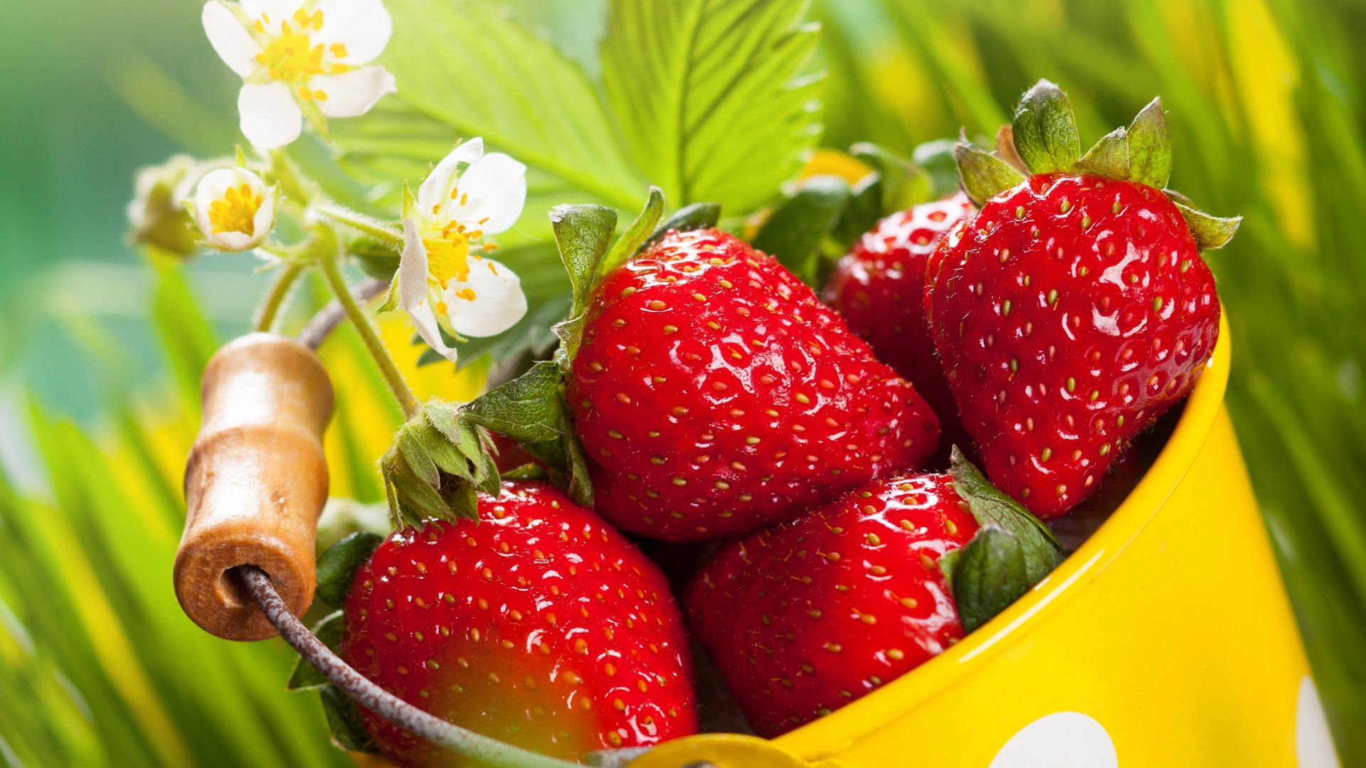 Desktop wallpaper strawberries, basket, fresh fruits, HD image, picture, background, e5aa27