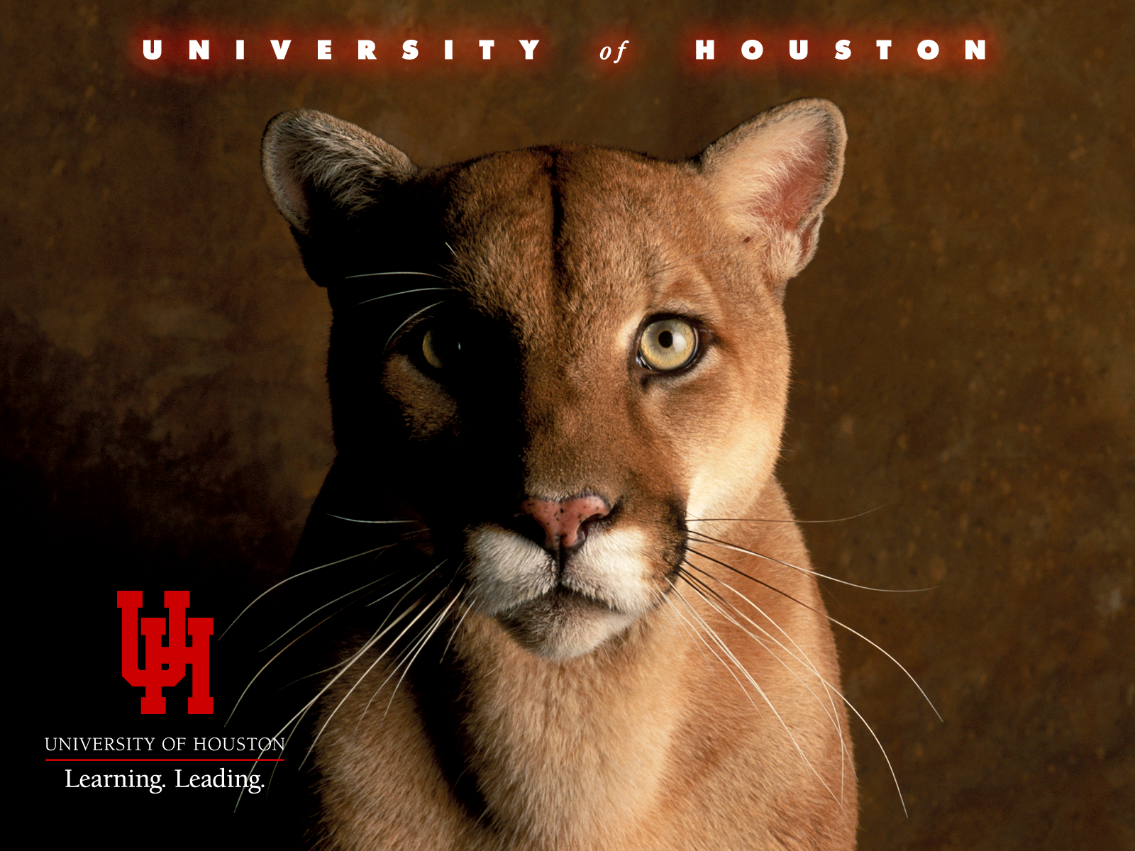 University of Houston, , Desktop Background