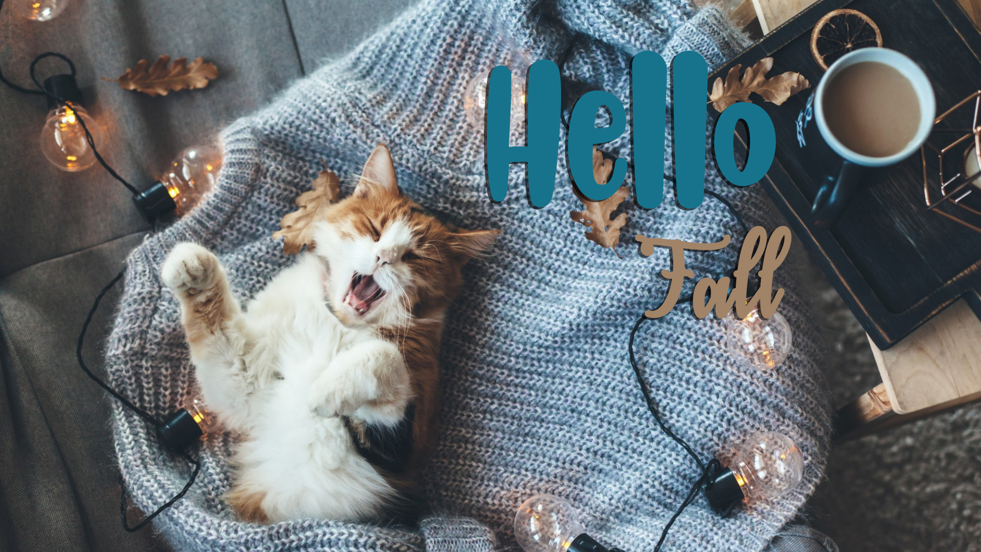 Cute new Hello Fall image