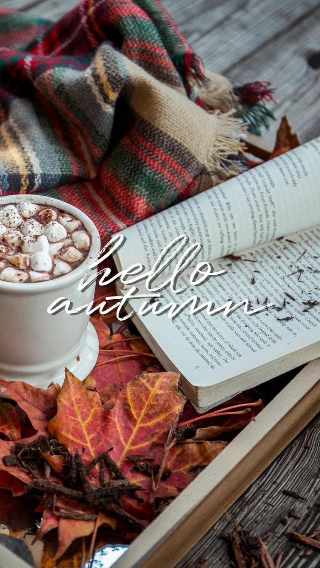 Hello Autumn Aesthetic HD Wallpaper (Desktop Background / Android / iPhone) (1080p, 4k) (1080x1919) (2021)