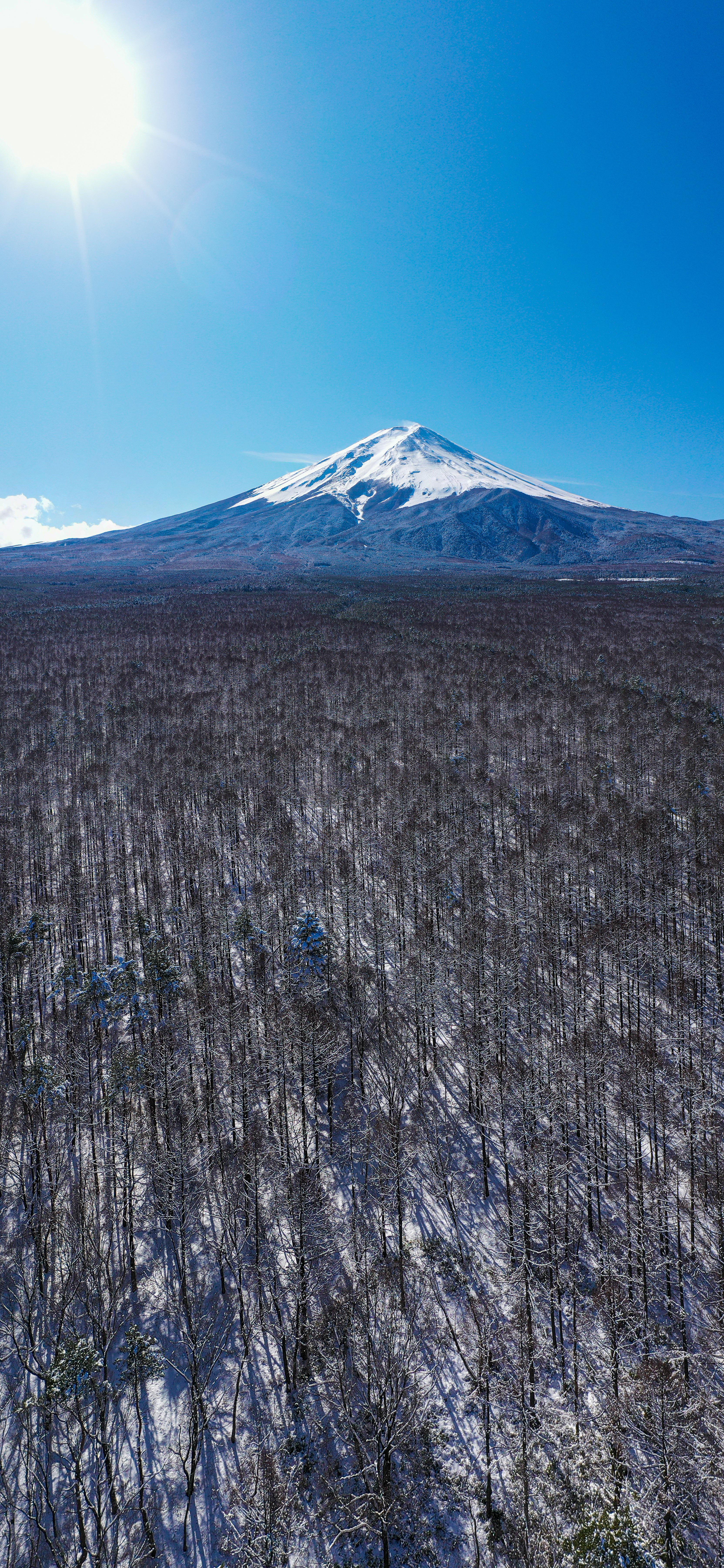 Mt. Fuji Morning After a Day of Snow HD wallpaper