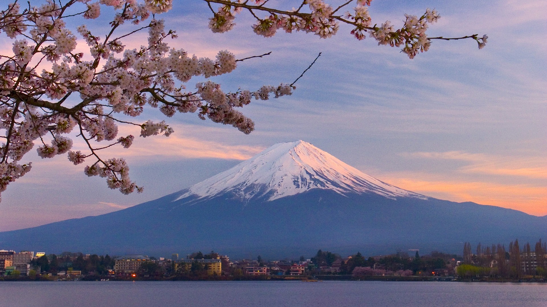 Wallpaper, mountains, Mount Fuji, lake, snow, winter, sunrise, morning, cherry blossom, dusk, tree, mountain, flower, dawn, plant 1920x1080