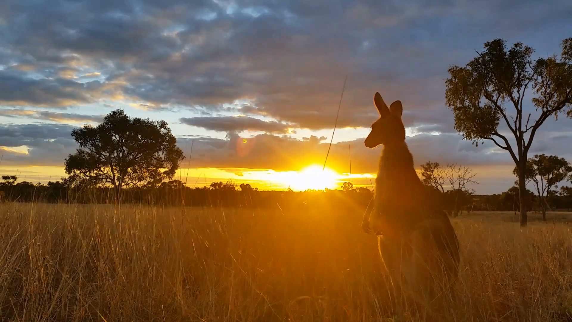 Australian's Outback region