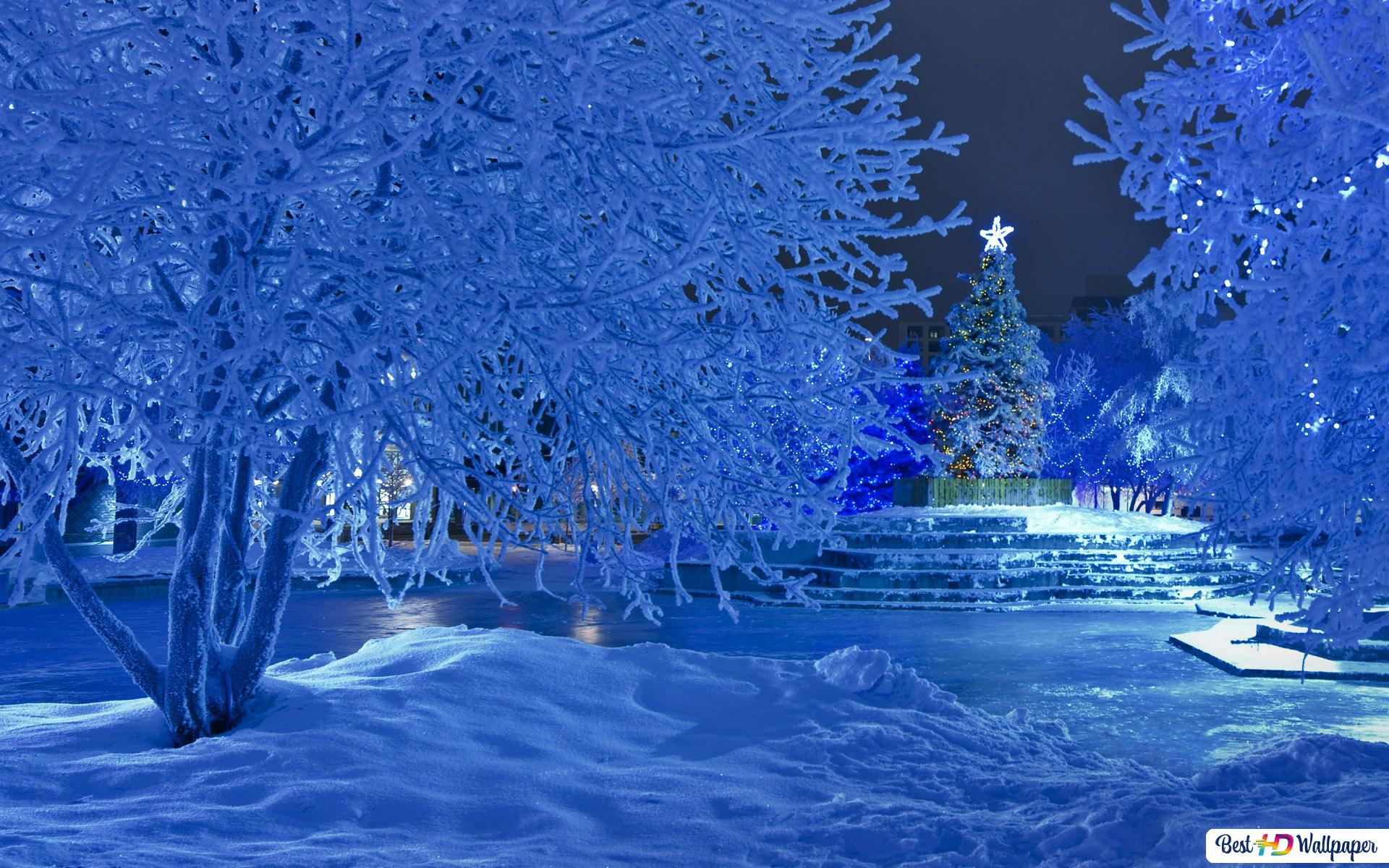 Winter Night at Christmas time HD wallpaper download