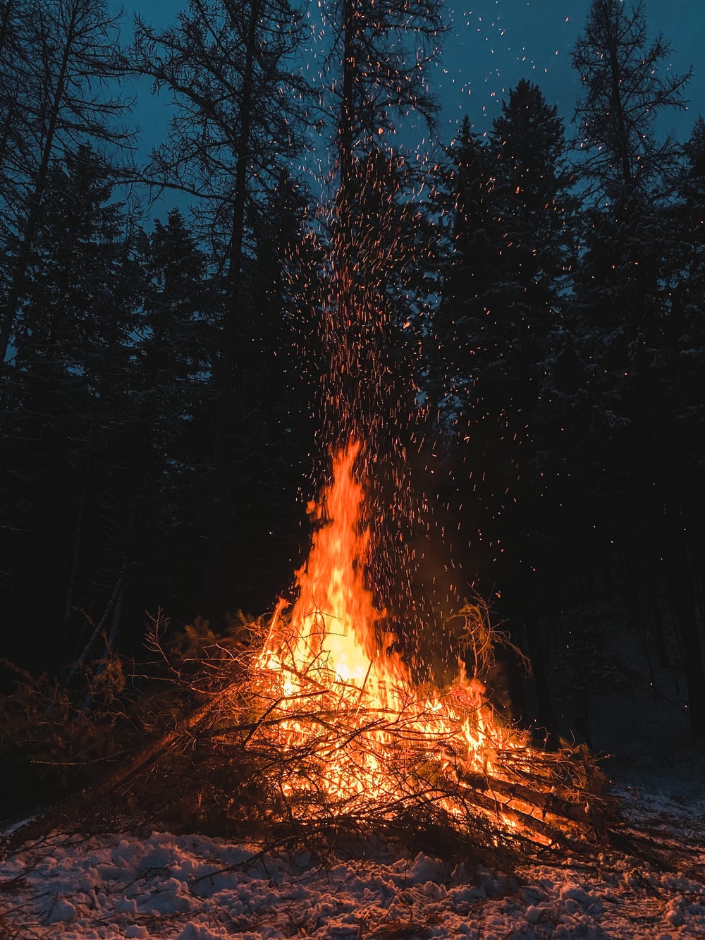 bonfire in forest during night time photo