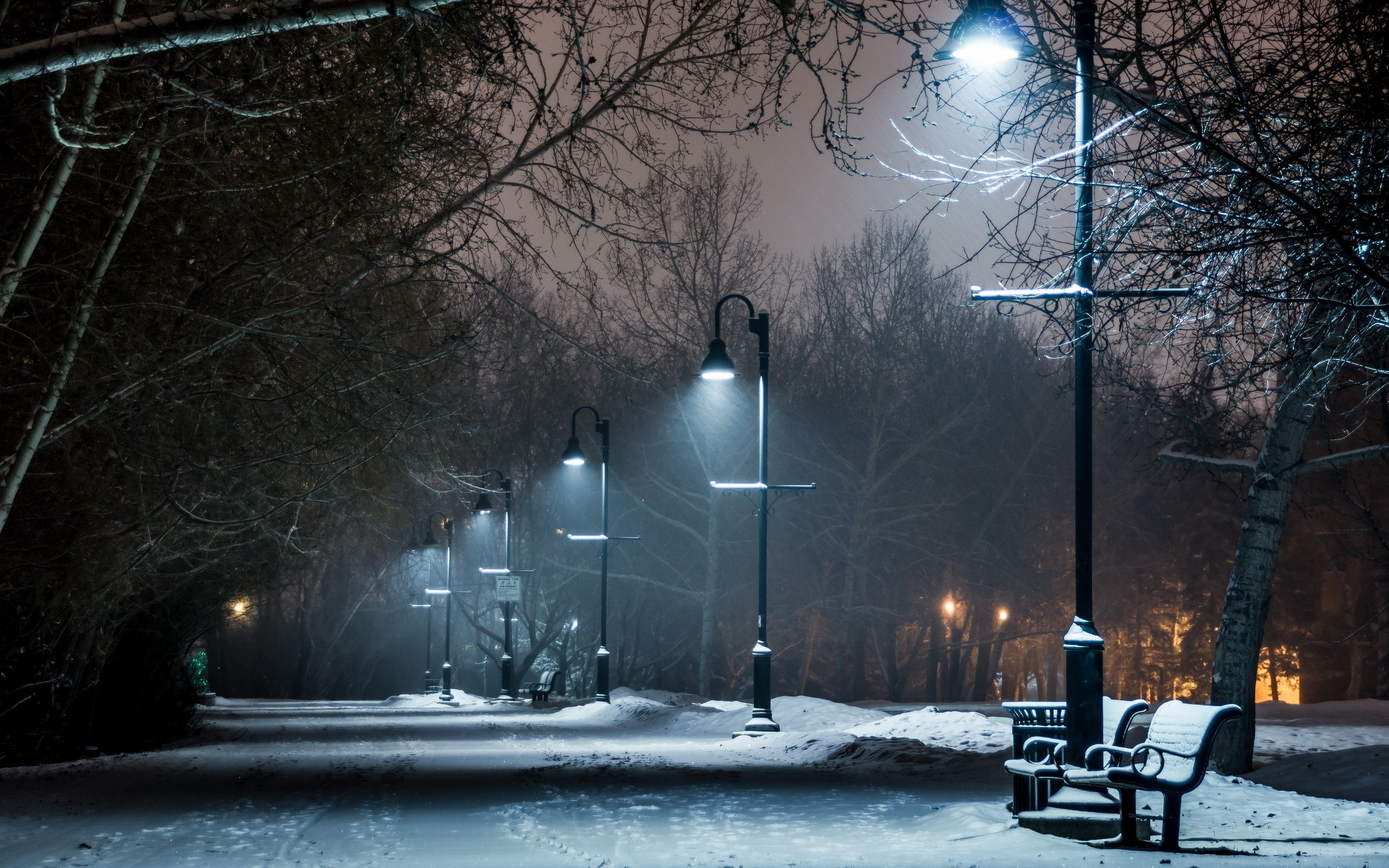 Winter Night Scenes