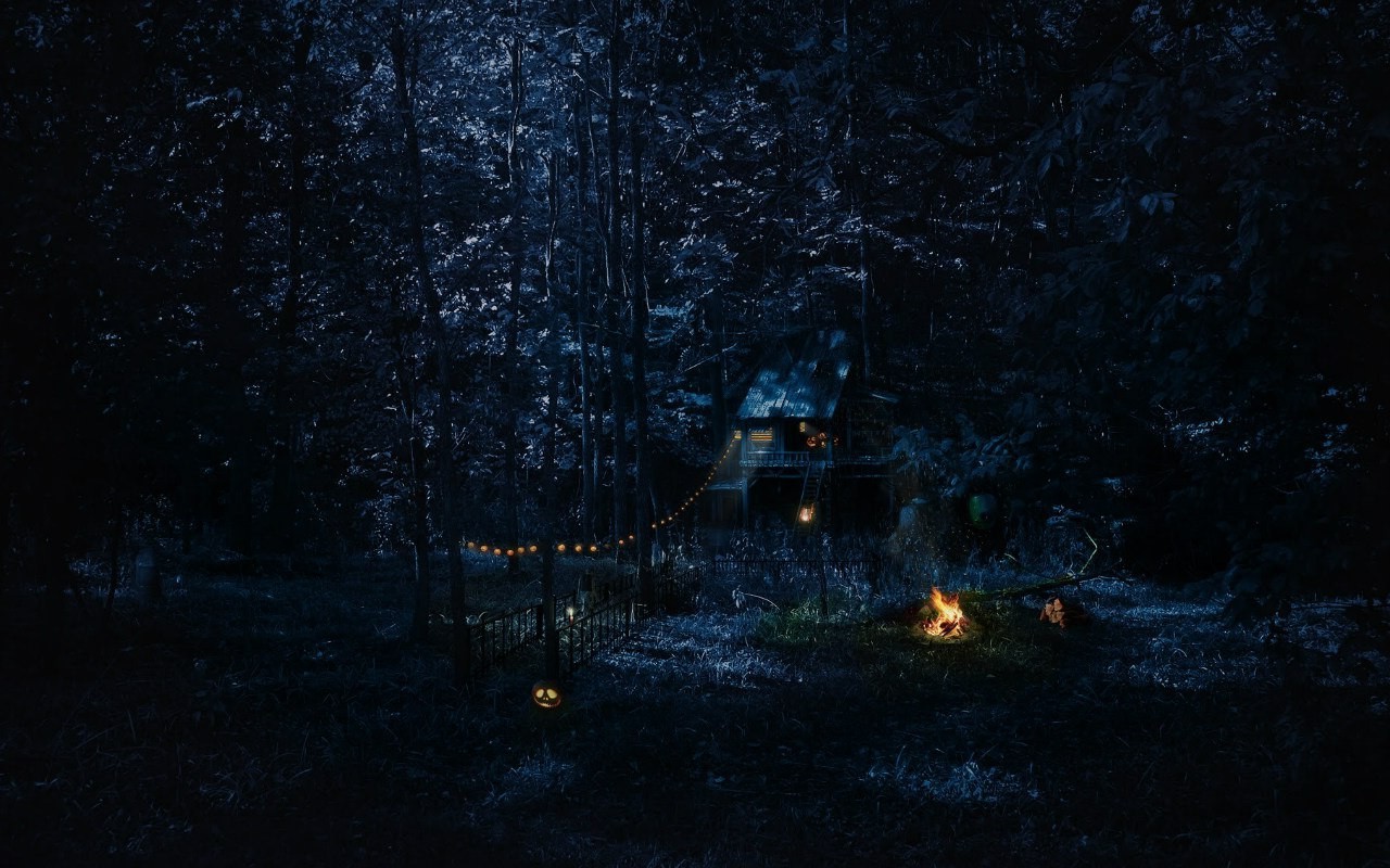cabin forest night campfire wallpaper