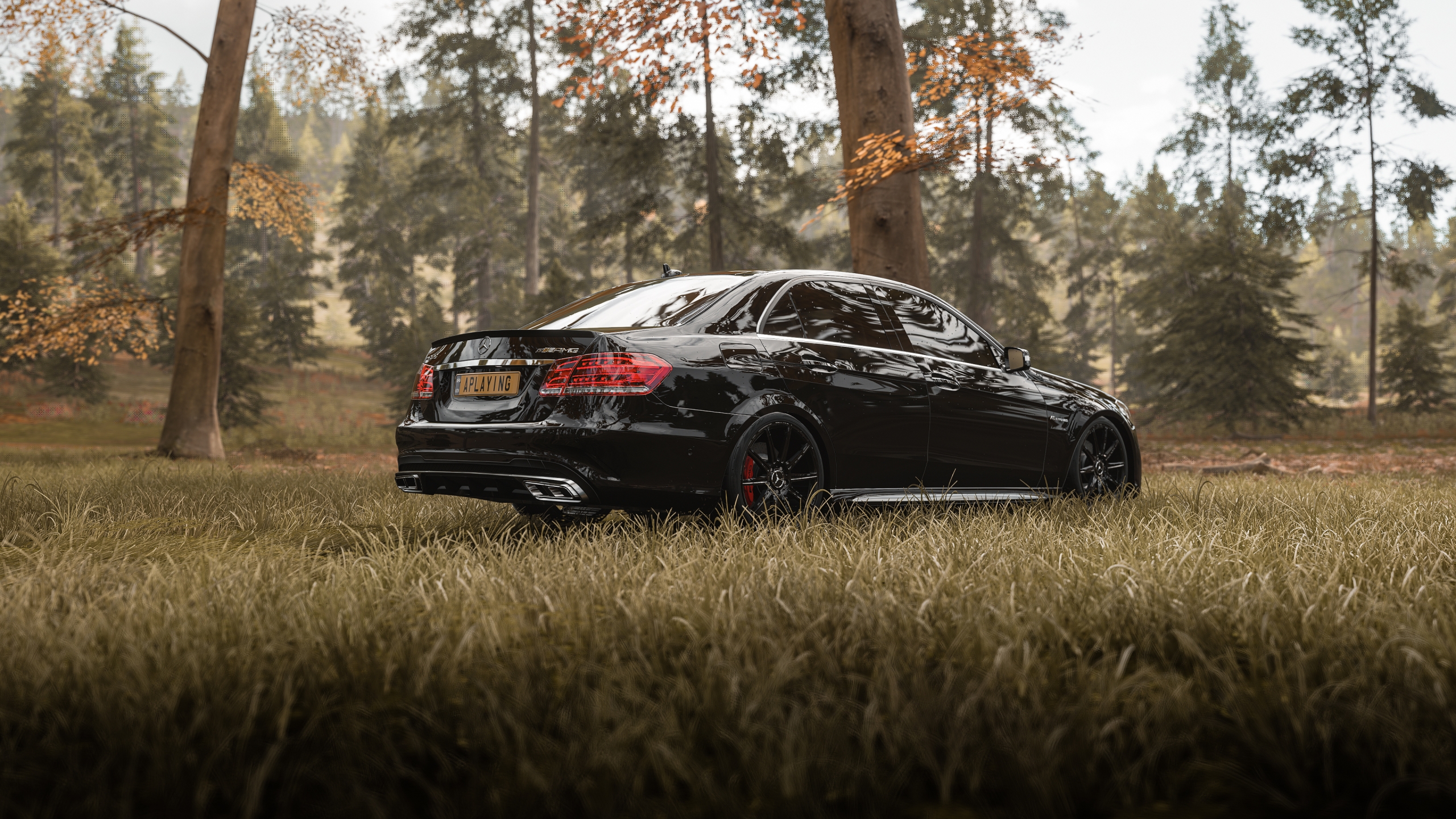 Mercedes Benz E63 AMG Side Wallpaper