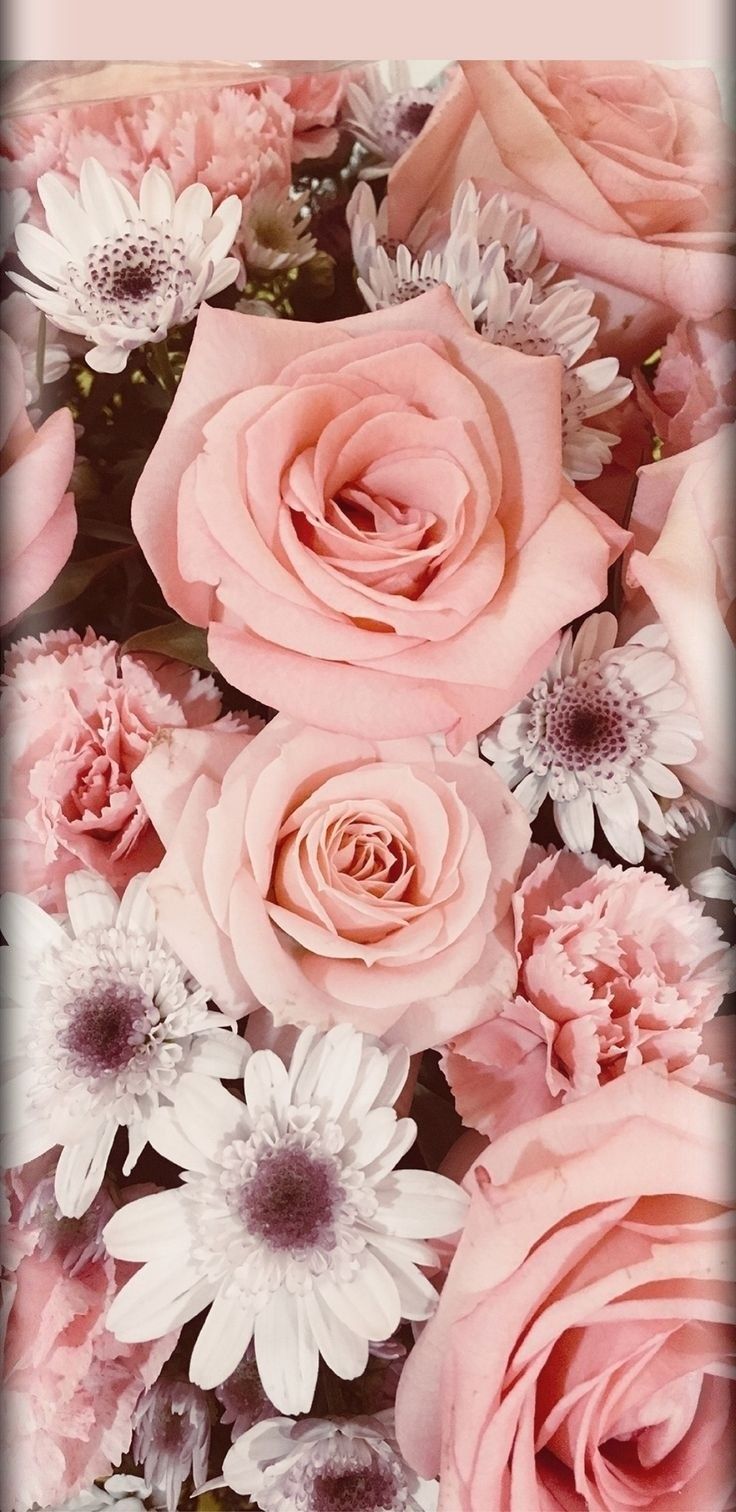 Aesthetic Pink Roses Wallpaper
