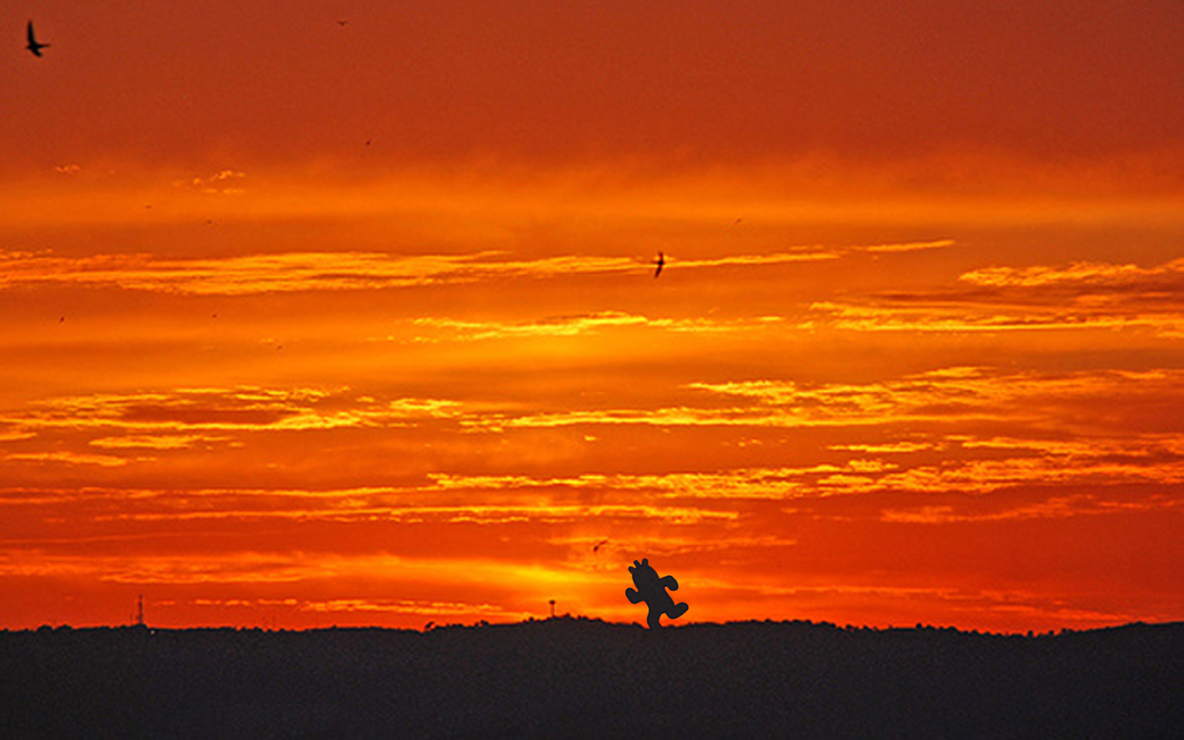 Download Cactuar Sunset Wallpaper 1680x1050