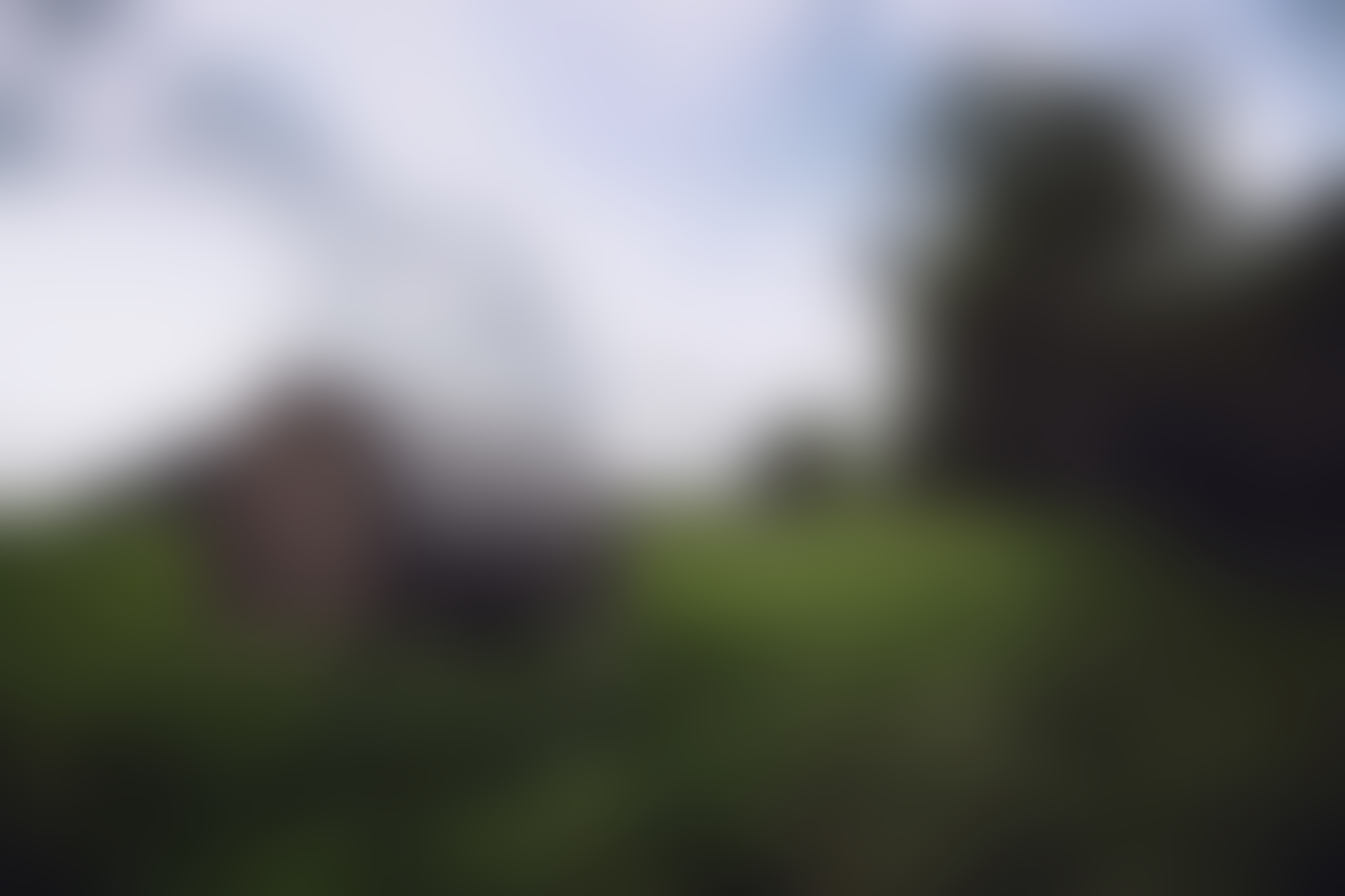 Blurred Landscape Background · Free