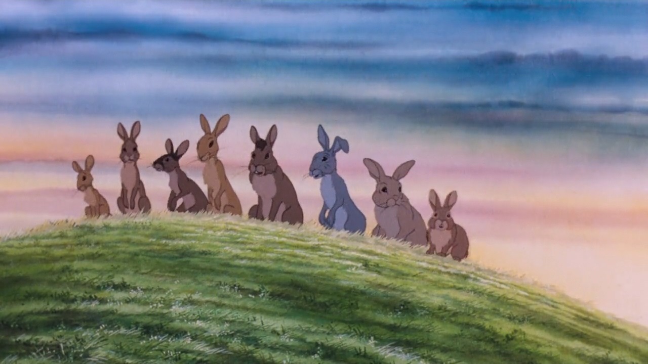 Watership Down wallpaper, Movie, HQ Watership Down pictureK Wallpaper 2019