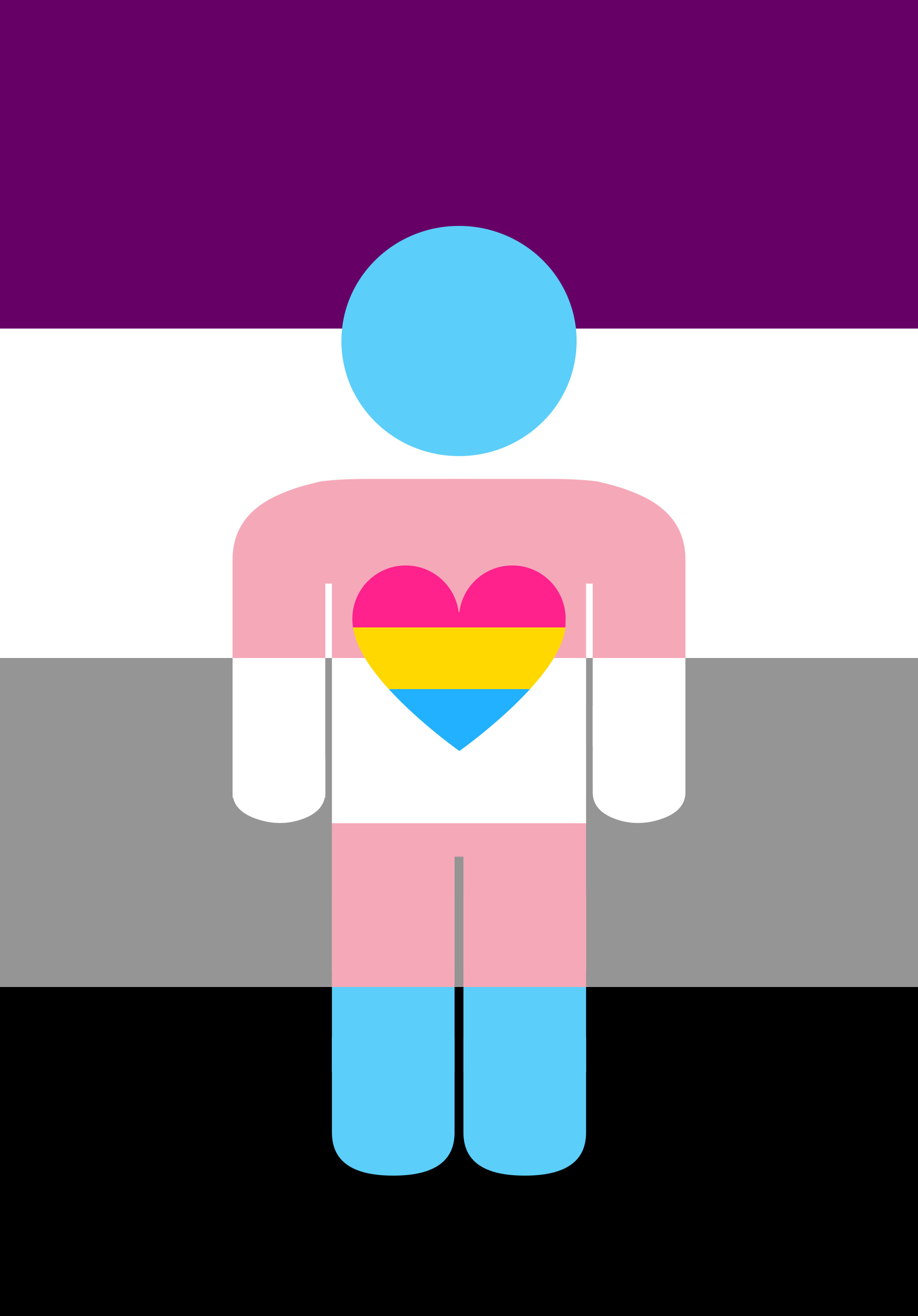 Asexual Panromantic Trans Combo Thing By Pride Flags