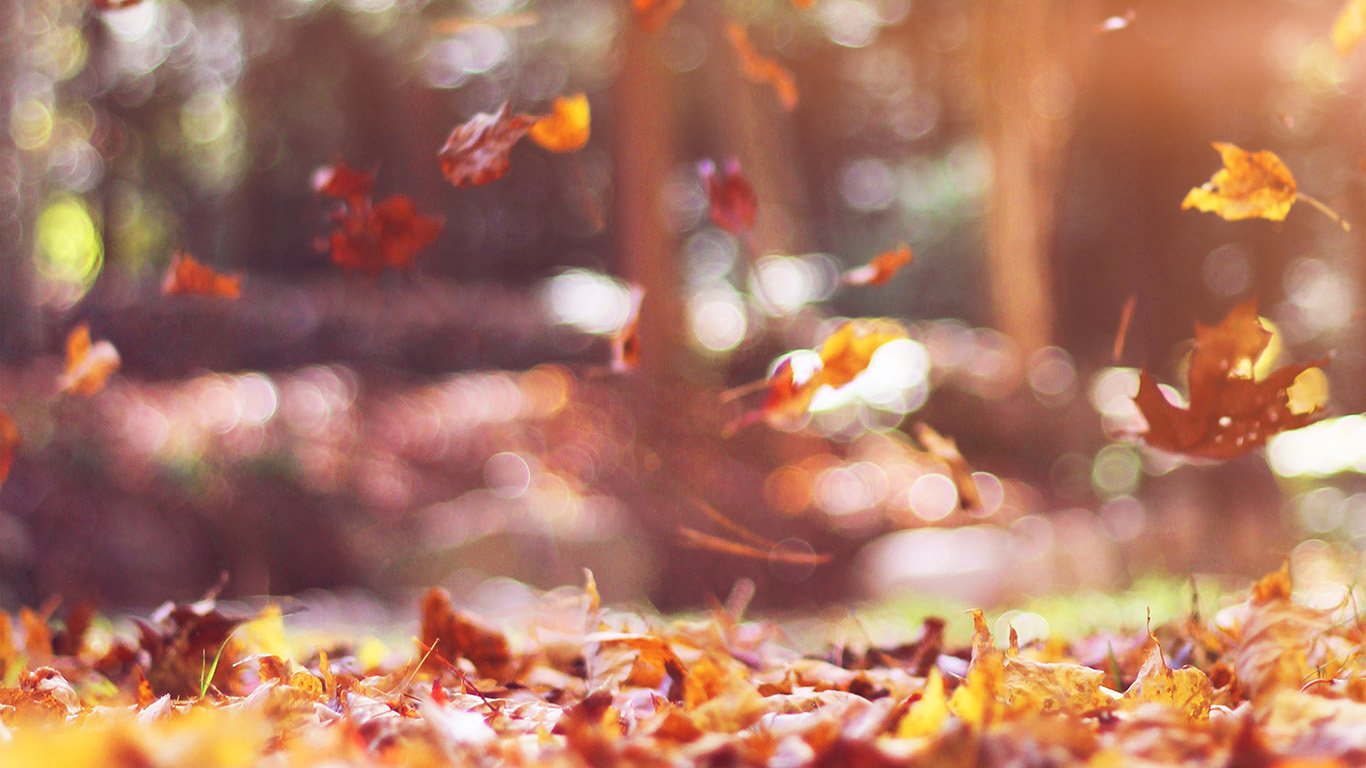 Fall Wallpaper Laptop