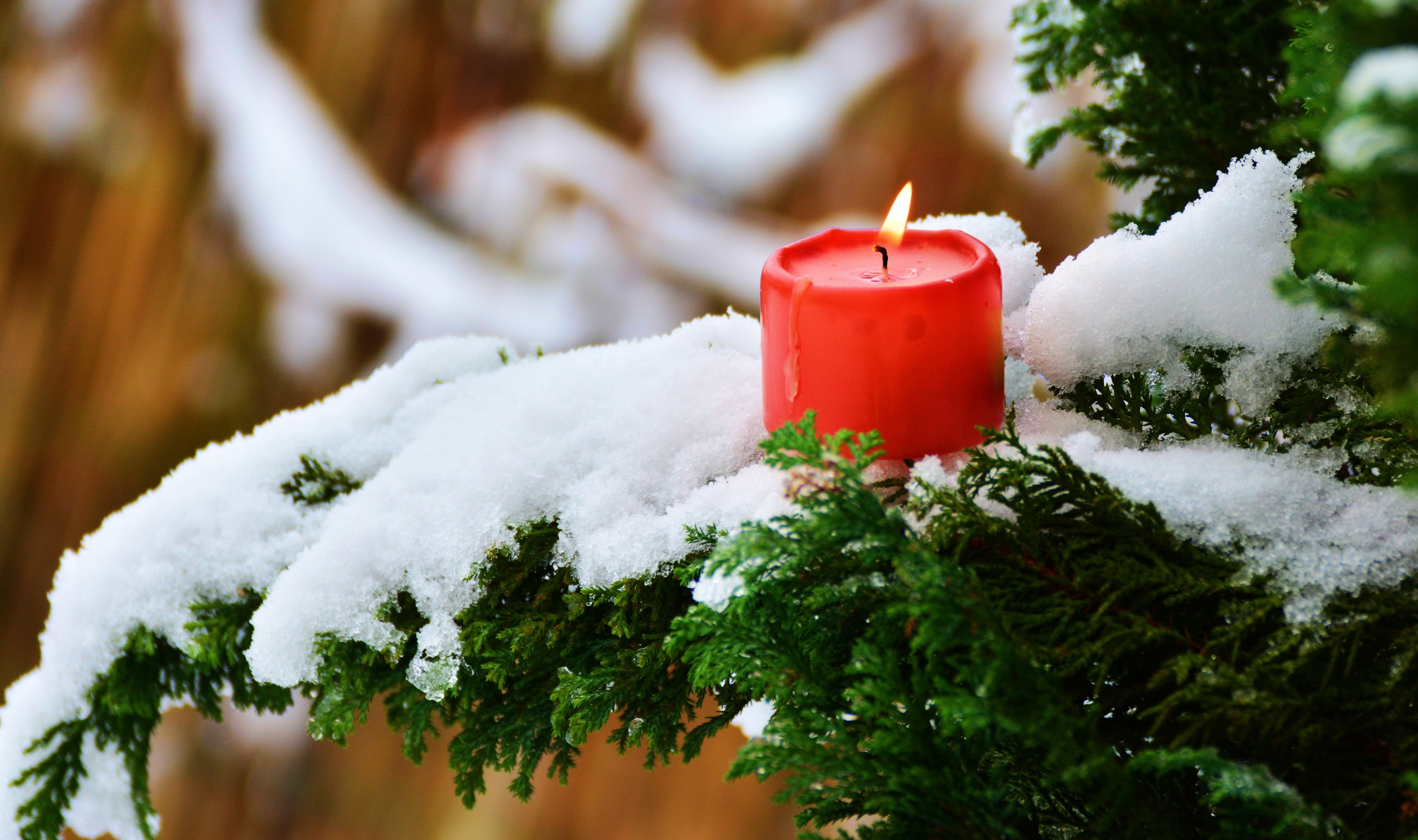 4K, 5K, Winter, Candles, Fire, Snow, Branches HD Wallpaper