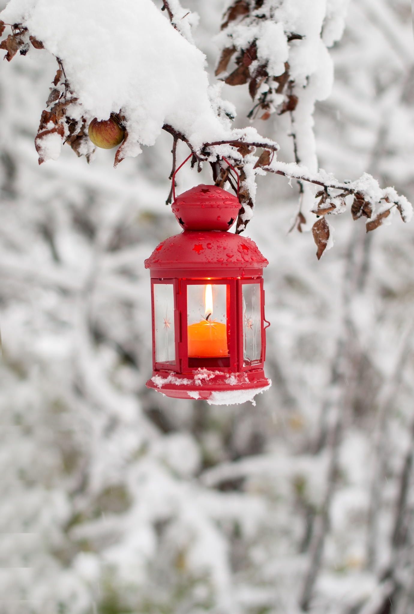 winter lantern with a candle attached to the tree covered with snow. Winter wallpaper, Christmas scenes, Winter christmas